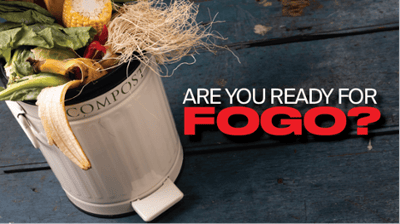 FOGO Intro Header FOGO Intro Header